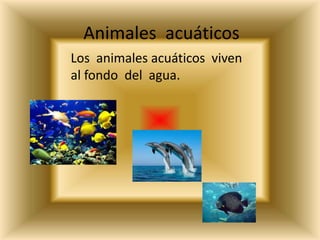 Animales acuáticos
Los animales acuáticos viven
al fondo del agua.
 