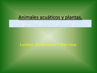 Animales acuáticos y plantas.
Luciana, Guillermina Y Alan rosa.
 