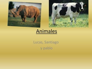 Animales
Lucas, Santiago
y pablo
 