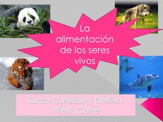 La alimentación de los seres vivos Lucia Cofelice y Delfina Prieto Cané   