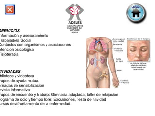 SERVICIOS Información y asesoramiento  