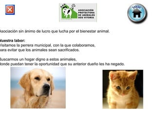 Asociación sin ánimo de lucro que lucha por el bienestar animal.    Nuestra labor: Visitamos la perrera municipal, con la que colaboramos,  para evitar que los animales sean sacrificados.    Buscarmos un hogar digno a estos animales,  donde puedan tener la oportunidad que su anterior dueño les ha negado.  