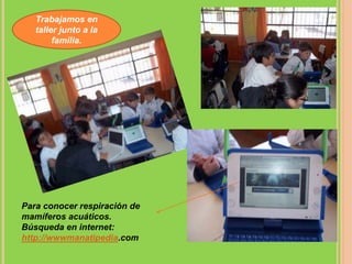 Trabajamos en
taller junto a la
familia.
Para conocer respiración de
mamíferos acuáticos.
Búsqueda en internet:
http://wwwmanatipedia.com