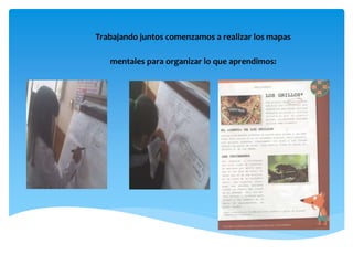 Trabajando juntos comenzamos a realizar los mapas
mentales para organizar lo que aprendimos:
 