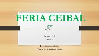 FERIA CEIBAL
2017
Río Branco
Escuela Nº 12
Clase: 3º
Docentes orientadores:
Valeria Berní- Richard Ojeda
 