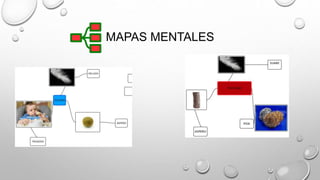 MAPAS MENTALES 
 