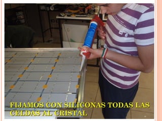 FIJAMOS CON SILICONAS TODAS LAS
CELDAS AL CRISTAL

 