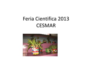Feria Cientifica 2013
CESMAR
 