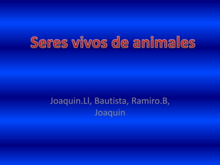 Joaquin.Ll, Bautista, Ramiro.B,
Joaquin
 