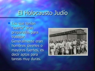 El Holocausto Judío <ul><li>Los que tenían “suerte” eran preparados para trabajar. Generalmente eran hombres jóvenes o may...