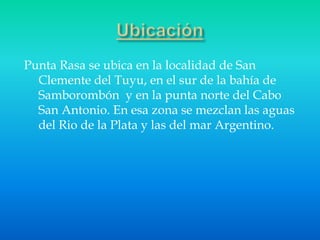 Punta Rasa se ubica en la localidad de San
Clemente del Tuyu, en el sur de la bahía de
Samborombón y en la punta norte del...