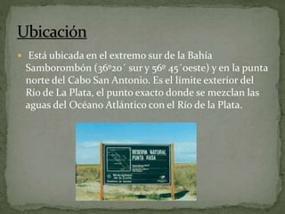  Está ubicada en el extremo sur de la Bahía
Samborombón (36º20´ sur y 56º 45´oeste) y en la punta
norte del Cabo San Anto...