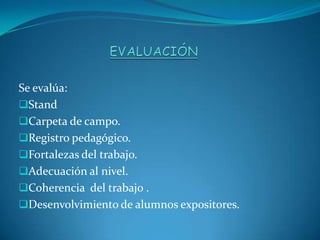 Se evalúa:
Stand
Carpeta de campo.
Registro pedagógico.
Fortalezas del trabajo.
Adecuación al nivel.
Coherencia del trabajo .
Desenvolvimiento de alumnos expositores.
 