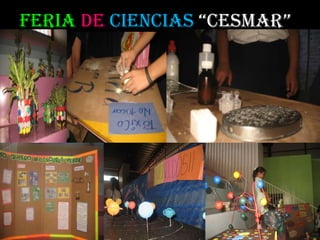 Feria de Ciencias “CESMAR”

 