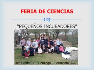 
“PEQUEÑOS INCUBADORES”
FERIA DE CIENCIAS
3er. Grado C.E. “Domingo F. Sarmiento” Pasco
 