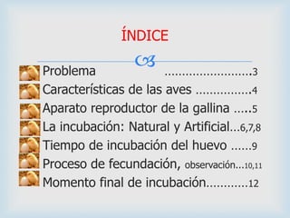 
ÍNDICE
Problema …………………….3
Características de las aves …………….4
Aparato reproductor de la gallina …..5
La incubación: Natural y Artificial…6,7,8
Tiempo de incubación del huevo ……9
Proceso de fecundación, observación...10,11
Momento final de incubación…………12
 