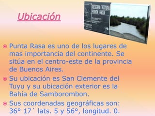  Punta Rasa es uno de los lugares de
mas importancia del continente. Se
sitúa en el centro-este de la provincia
de Buenos...