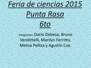 Feria de ciencias 2015
Punta Rasa
6to
Integrantes: Darío Debesa, Bruno
Vendittelli, Marilyn Ferritto,
Melisa Pelliza y Agustín Cox.
 