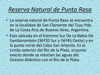 Reserva Natural de Punta Rasa
• La reserva natural de Punta Rasa se encuentra
en la localidad de San Clemente del Tuyu Pdo...