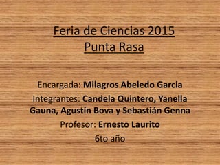 Feria de Ciencias 2015
Punta Rasa
Encargada: Milagros Abeledo Garcia
Integrantes: Candela Quintero, Yanella
Gauna, Agustín...