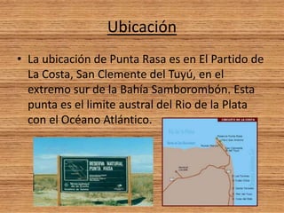 Ubicación
• La ubicación de Punta Rasa es en El Partido de
La Costa, San Clemente del Tuyú, en el
extremo sur de la Bahía ...