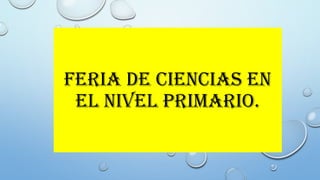 FERIA DE CIENCIAS EN
EL NIVEL PRIMARIO.
 