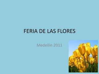 FERIA DE LAS FLORES Medellin 2011 