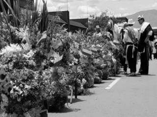 Feria de las flores paulina jaramillo metrio11 ludica