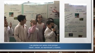 Las plantas son seres vivos porque …
nacen, crecen, se reproducen y mueren.