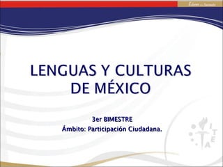 3er BIMESTRE Ámbito: Participación Ciudadana. 
