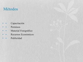 Métodos 
• • Capacitación 
• • Permisos 
• • Material Fotográfico 
• • Recursos Económicos 
• • Publicidad 
 