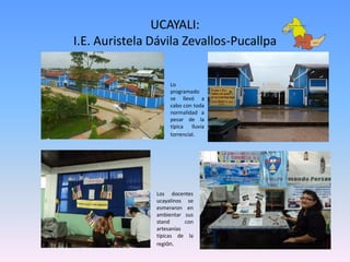 UCAYALI:
I.E. Auristela Dávila Zevallos-Pucallpa


                    Lo
                    programado
                    se llevó a
                    cabo con toda
                    normalidad a
                    pesar de la
                    típica lluvia
                    torrencial.




               Los docentes
               ucayalinos se
               esmeraron en
               ambientar sus
               stand      con
               artesanías
               típicas de la
               región.
 