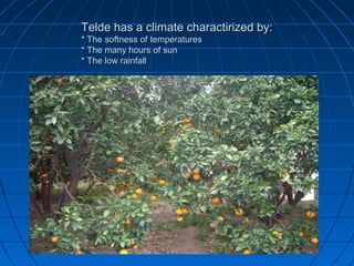 Telde has a climate charactirized by:
* The softness of temperatures
* The many hours of sun
* The low rainfall
 
