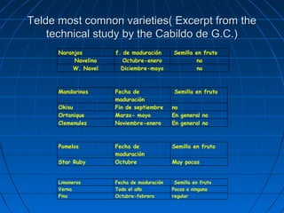 Telde most comnon varieties( Excerpt from the
    technical study by the Cabildo de G.C.)
      Naranjos        f. de maduración      Semilla en fruto
           Navelina      Octubre-enero              no
          W. Navel      Diciembre-mayo              no



      Mandarinos      Fecha de               Semilla en fruto
                      maduración
      Okisu           Fin de septiembre     no
      Ortanique       Marzo- mayo           En general no
      Clemenules      Noviembre-enero       En general no



      Pomelos         Fecha de              Semilla en fruto
                      maduración
      Star Ruby       Octubre               Muy pocas


      Limoneros       Fecha de maduración    Semilla en fruto
      Verna           Todo el año           Pocas o ninguna
      Fino            Octubre-febrero       regular
 