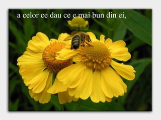 a celor ce dau ce e mai bun din ei,
a celor ce dau ce e mai bun din ei,
 