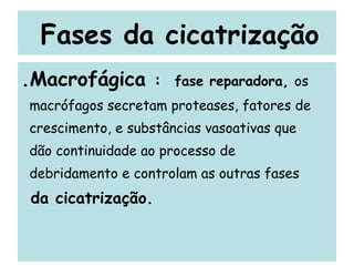 Fases da cicatrização .Macrofágica  :  fase reparadora,  os  macrófagos secretam proteases, fatores de crescimento, e substâncias vasoativas que  dão continuidade ao processo de  debridamento e controlam as outras fases  da cicatrização. 