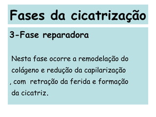 Fases da cicatrização 3-Fase reparadora Nesta fase ocorre a remodelação do colágeno e redução da capilarização , com  retração da ferida e formação da cicatriz . 