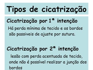 Tipos de cicatrização Cicatrização por   1ª intenção Há perda mínima de tecido e os bordos são passiveis de ajuste por sutura. Cicatrização por 2ª intenção lesão com perda acentuada de tecido, onde não é possível realizar a junção dos bordos 