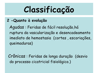 Classificação 2 -Quanto à evolução Agudas  : Feridas de fácil resolução,há ruptura da vascularização e desencadeamento imediato de hemostasia  (cortes , escoriações, queimaduras) Crônicas  : Feridas de longa duração  (desvio do processo cicatricial fisiológico.) 