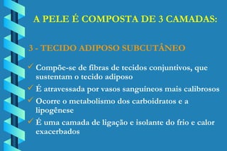 Compõe-se de fibras de tecidos conjuntivos, que  sustentam o tecido adiposo É atravessada por vasos sanguíneos mais calibrosos Ocorre o metabolismo dos carboidratos e a  lipogênese É uma camada de ligação e isolante do frio e calor  exacerbados 3 - TECIDO ADIPOSO SUBCUTÂNEO A PELE É COMPOSTA DE 3 CAMADAS: 