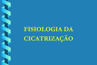 FISIOLOGIA DA CICATRIZAÇÃO 