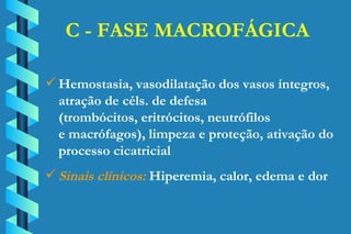 C - FASE MACROFÁGICA Hemostasia, vasodilatação dos vasos íntegros,  atração de céls. de defesa  (trombócitos, eritrócitos, neutrófilos  e macrófagos), limpeza e proteção, ativação do  processo cicatricial  Sinais clínicos:  Hiperemia, calor, edema e dor 