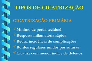 TIPOS DE CICATRIZAÇÃO Mínimo de perda tecidual Resposta inflamatória rápida Reduz incidência de complicações Bordos regulares unidos por suturas Cicatriz com menor índice de defeitos CICATRIZAÇÃO PRIMÁRIA 