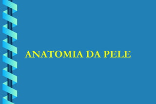 ANATOMIA DA PELE 