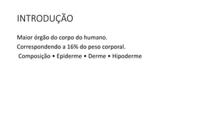 INTRODUÇÃO
Maior órgão do corpo do humano.
Correspondendo a 16% do peso corporal.
Composição • Epiderme • Derme • Hipoderme
 