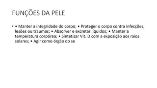 FUNÇÕES DA PELE
• • Manter a integridade do corpo; • Proteger o corpo contra infecções,
lesões ou traumas; • Absorver e excretar líquidos; • Manter a
temperatura corpórea; • Sintetizar Vit. D com a exposição aos raios
solares; • Agir como órgão do se
 