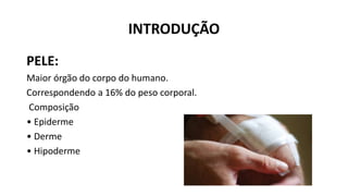 INTRODUÇÃO
PELE:
Maior órgão do corpo do humano.
Correspondendo a 16% do peso corporal.
Composição
• Epiderme
• Derme
• Hipoderme
 