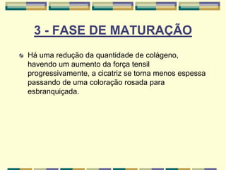 3 - FASE DE MATURAÇÃO
Há uma redução da quantidade de colágeno,
havendo um aumento da força tensil
progressivamente, a cicatriz se torna menos espessa
passando de uma coloração rosada para
esbranquiçada.
 