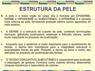 ESTRUTURA DA PELE
A pele é o maior órgão do corpo. Ela é formada por EPIDERME,
DERME e HIPODERME ou SUBCUTÂNEO. A EPIDERME é a camada
mais externa da pele, fornecendo proteção efetiva contra agressões do
meio externo.
A DERME é a estrutura de suporte da pele, contendo terminações
nervosas, glândulas sudoríparas, sebáceas e folículos pilosos, sendo
muito importante no processo de cicatrização.
Enquanto que a epiderme é muito importante para o recobrimento de
feridas, a derme tem importância para a integridade estrutural e
propriedades físicas da pele. Portanto, a derme se torna o centro das
atenções no processo de cicatrização das feridas.
O TECIDO CONJUNTIVO SUBCUTÂNEO é responsável pela produção
e estocagem de gordura. Funciona como isolante térmico, absorvendo
choques mecânicos e reservatório de calorias.
 