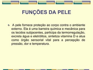FUNÇÕES DA PELE
A pele fornece proteção ao corpo contra o ambiente
externo. Ela é uma barreira química e mecânica para
os tecidos subjacentes, participa da termorregulação,
excreta água e eletrólitos, sintetiza vitamina D e atua
como órgão sensorial vital para a percepção de
pressão, dor e temperatura.
 